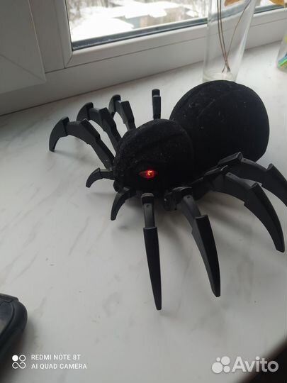 Тарантул большой на пульте