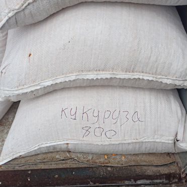 Корма для сельскохозяйственных животных, кукуруза