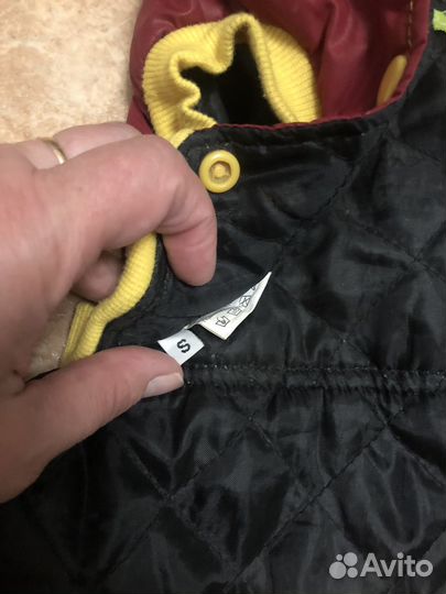 Одежда для собак