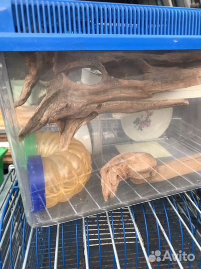 Клетки для грызунов и куча сопутствующего