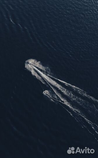 Видеограф / видеосъемка / видеооператор