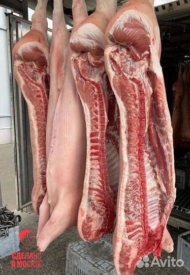 Мясо свинины от производителя