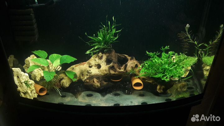 Аквариум с тумбой 100л