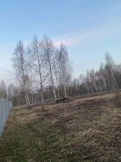 Участок 22,5 сот. (ИЖС)