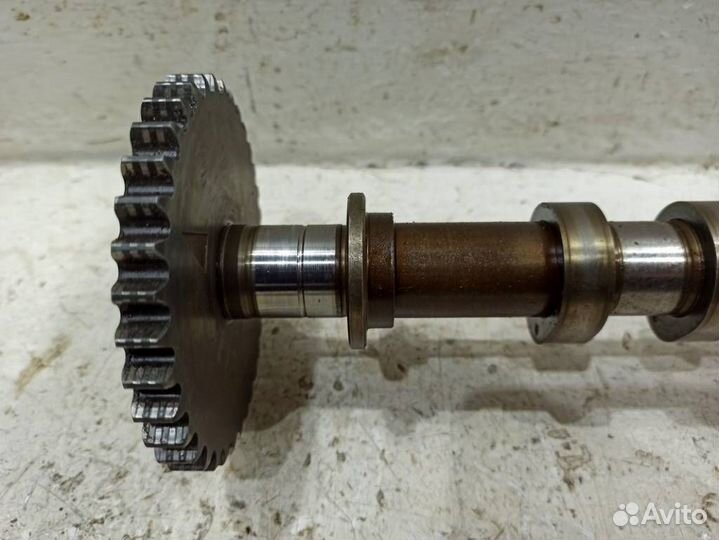 Распредвал впускной 3938236
