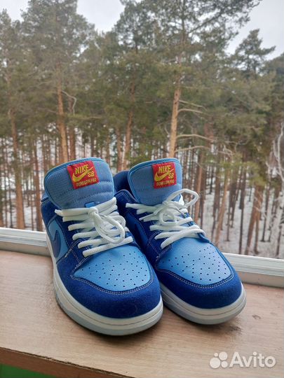Nike sb dunk Low Pro