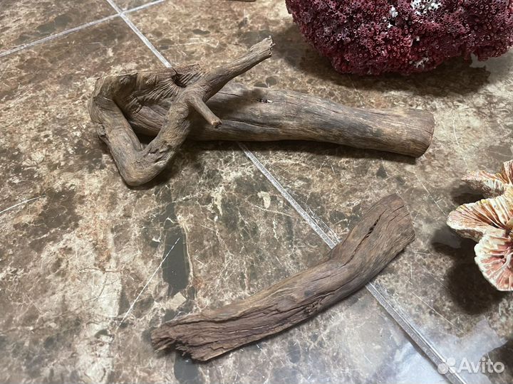 Кораллы и декорации