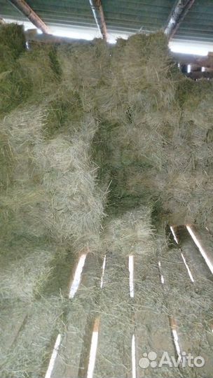 Сено в тюках