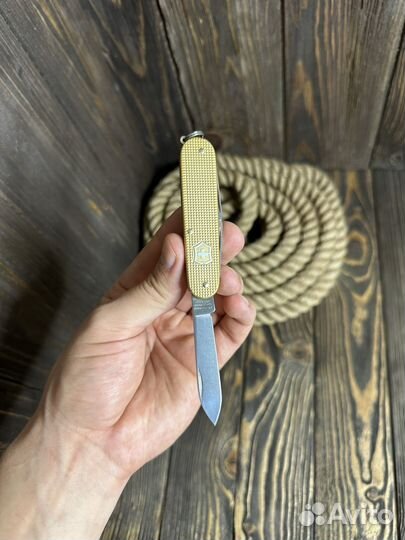 Victorinox cadet LE 2019