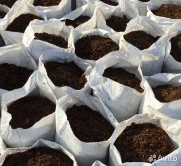 Земля четырёх компонентная