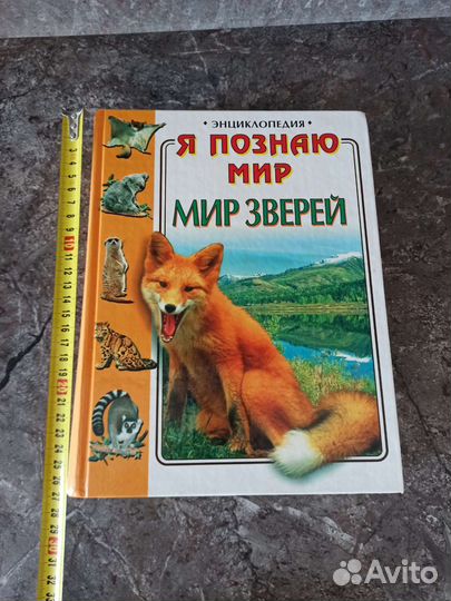 Книга - энциклопедия