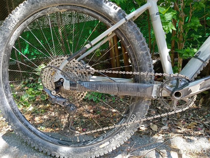 Polygon xtrada 6 2022