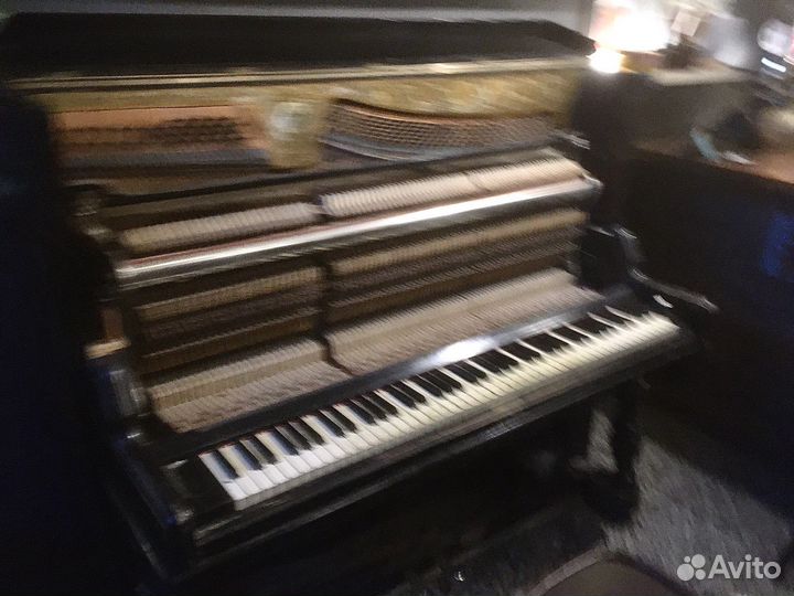 Настройка пианино, Санкт-Петербург и область