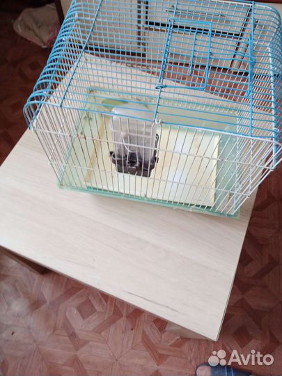 Клетка для птиц б/у в хорошем состоянии