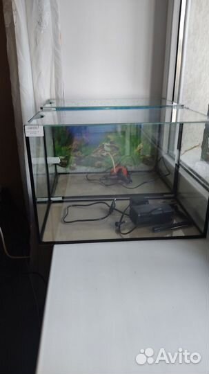 Аквариум и фильтр