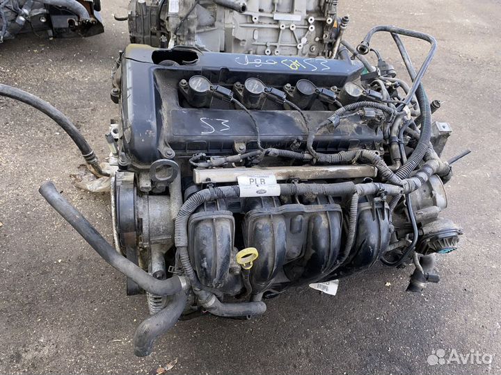Двигатель aoda Ford Focus aoda-C307040036 поврежде
