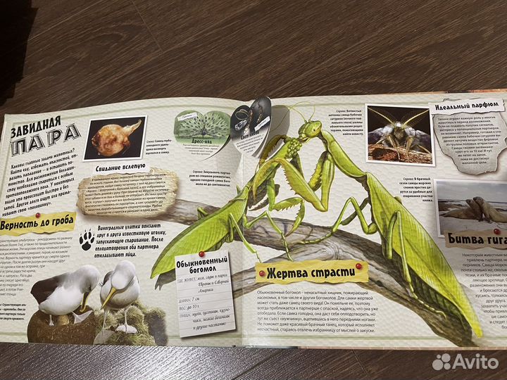 Детская книга