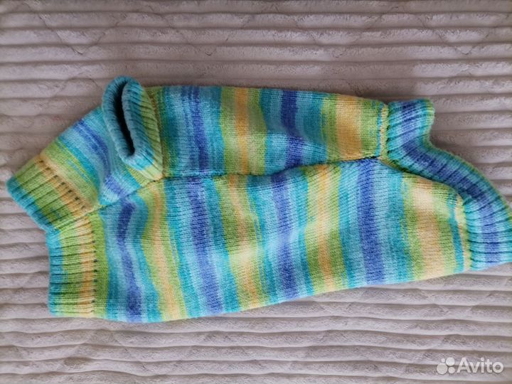 Одежда для собак