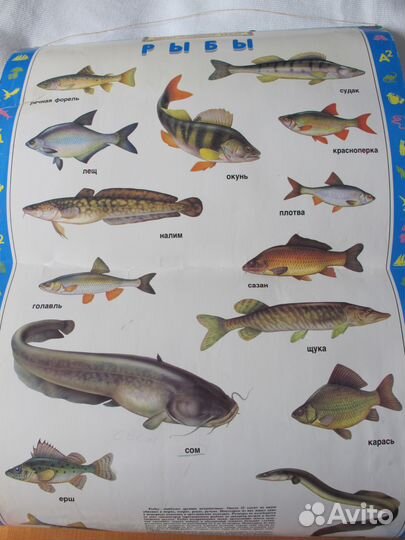 Плакаты флаги карты