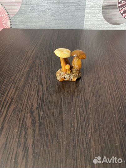 Янтарные грибки