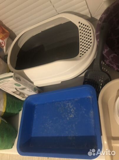 Всё для кошек