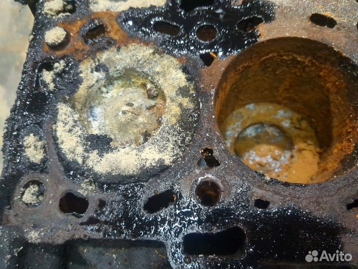 Блок цилиндров Opel Vivaro M9R 780, M9R 782, M9R 784, M9R 786, M9R 788 2 Дизель, 2008