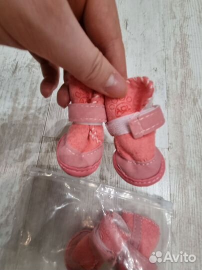 Ботинки для собак