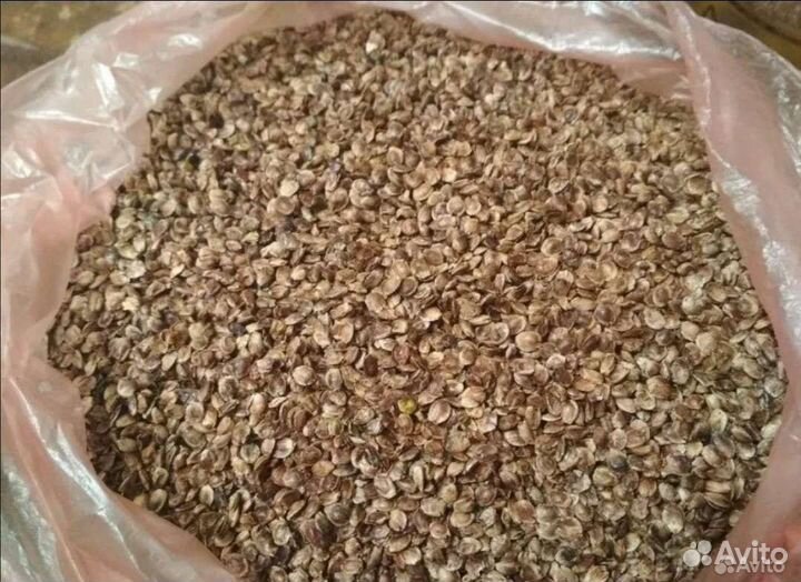 Жмых, корм, комбикорм