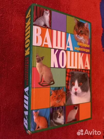 Книга о кошках