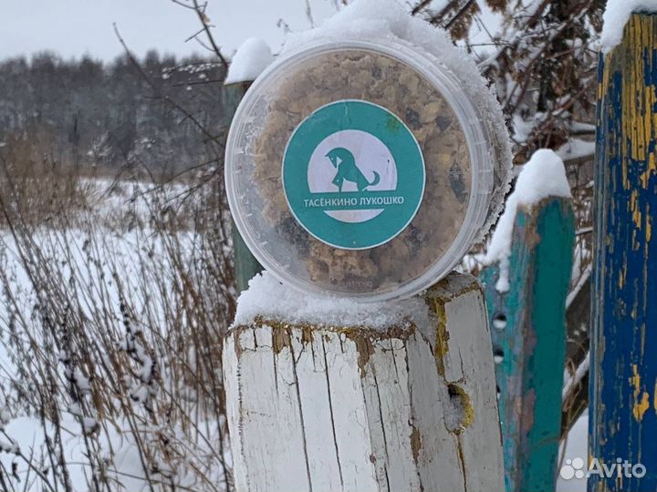 Вкусняшки для лошадей