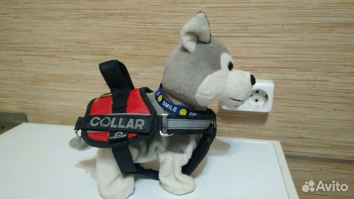 Шлея для небольшой собаки 