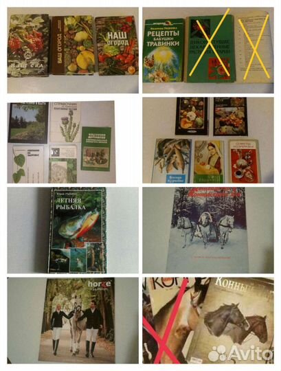 Книги:Сад/Огород.Рецепты.Травы/Целебные.Кони.Рыба
