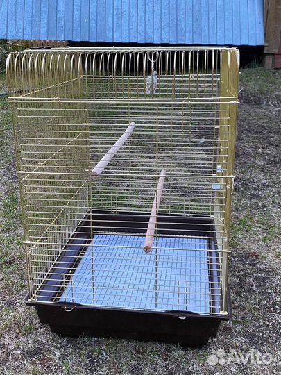 Клетка для попугая 52х41х59