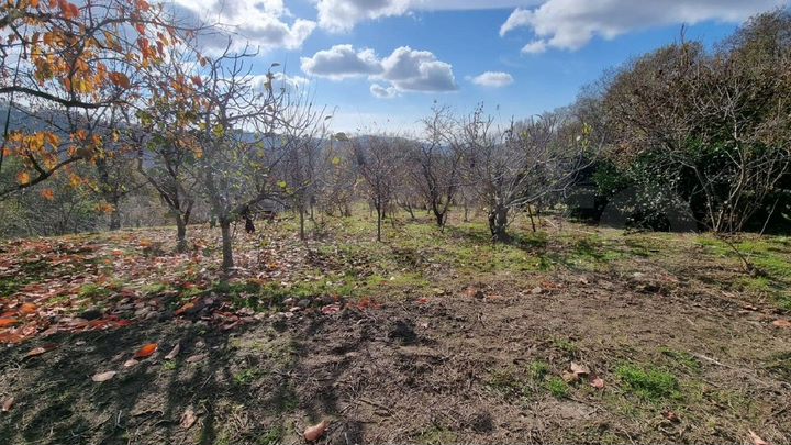 Участок 4,8 сот. (ИЖС)