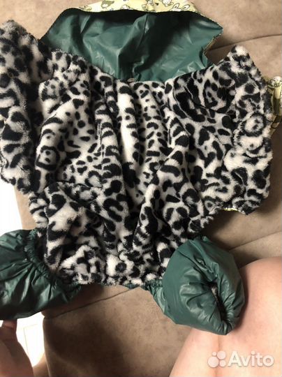 Одежда для собак