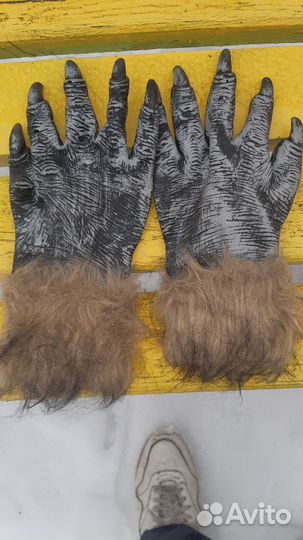 Перчатки (животного)