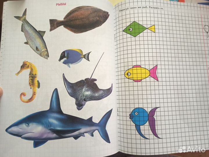 Рабочая тетрадь Колесниковой Геометрия 5-7 лет