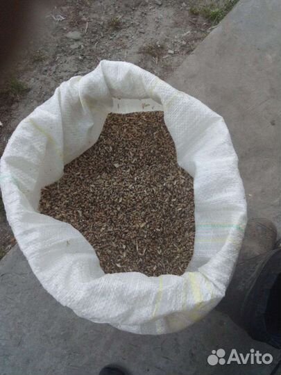 Зерно смесь