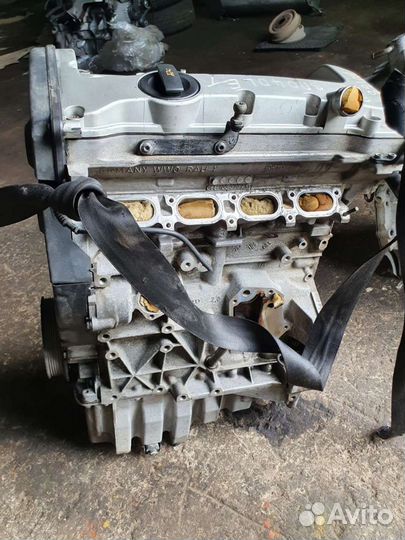 Двигатель Audi A4 B6 8E, 2.0 ALT