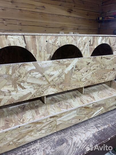 Гнездо, насесты для кур с яйцесборником