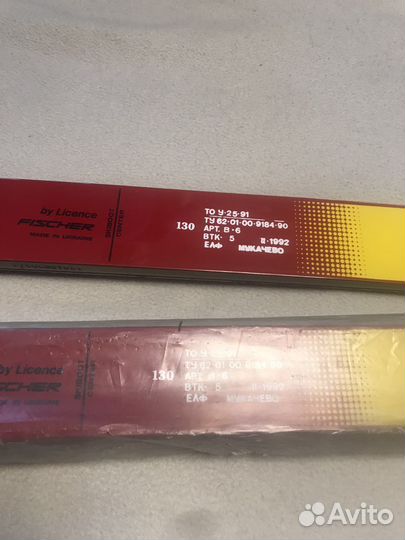 Горные лыжи fischer