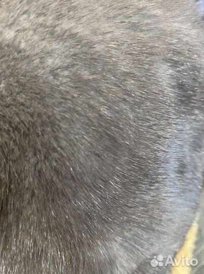 Шапка женская