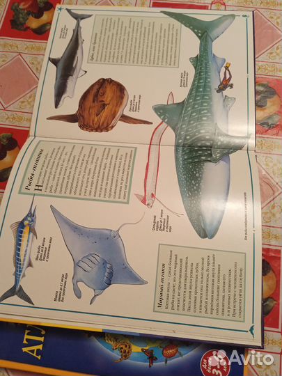 Детский атлас животных и Подводный мир