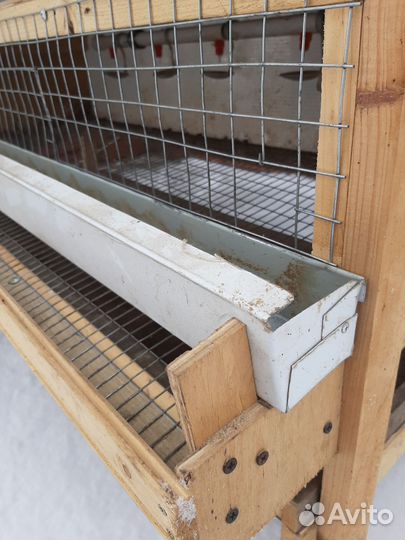 Клетка лдя перепелов