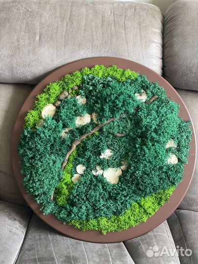 Картина-круг из стабилизированного мха