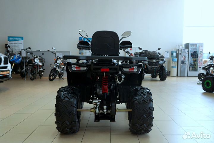 Avantis hunter 200 BIG Premium