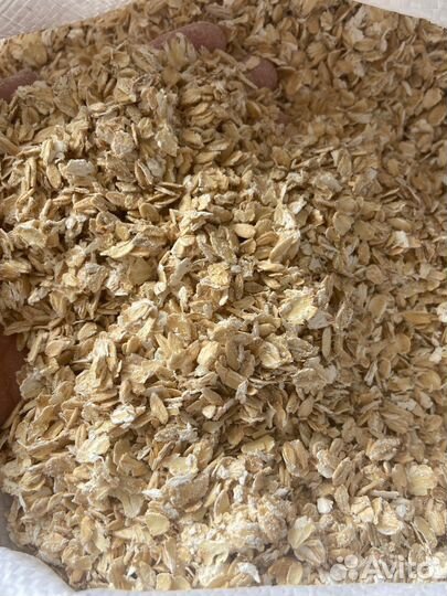 Зерно, отруби