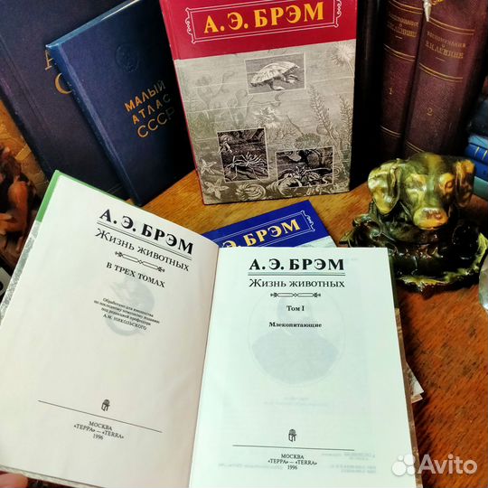 А.Э. Брэм Жизнь животных