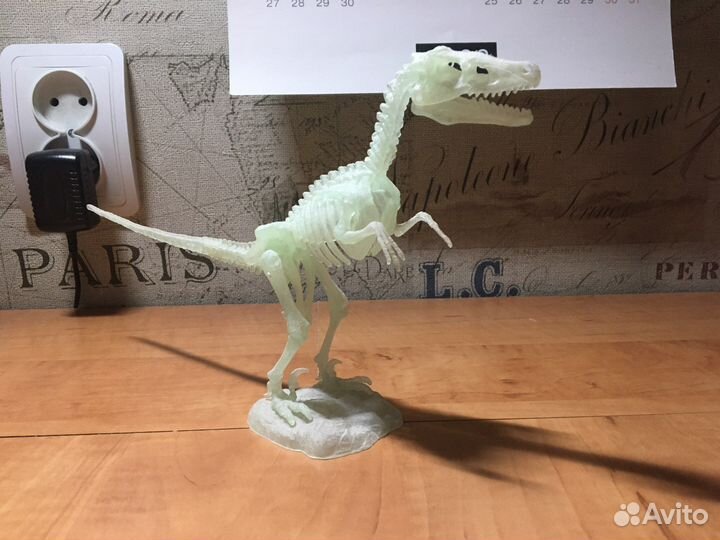 Скелет Велоцераптор, светится в темноте