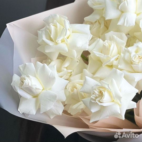 Букет белые розы Playa Blanka